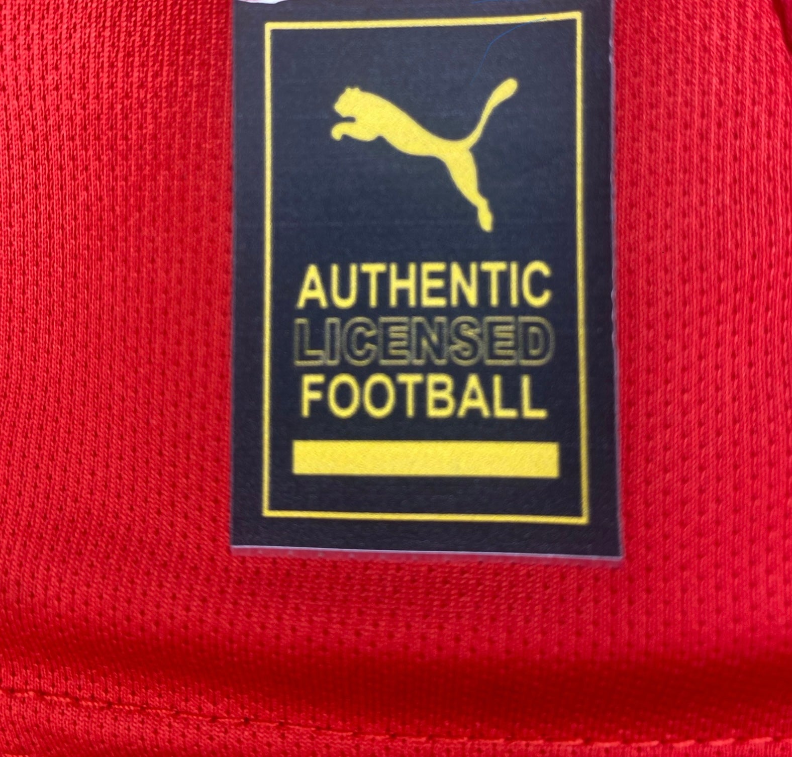 Maillot Maroc Domicile