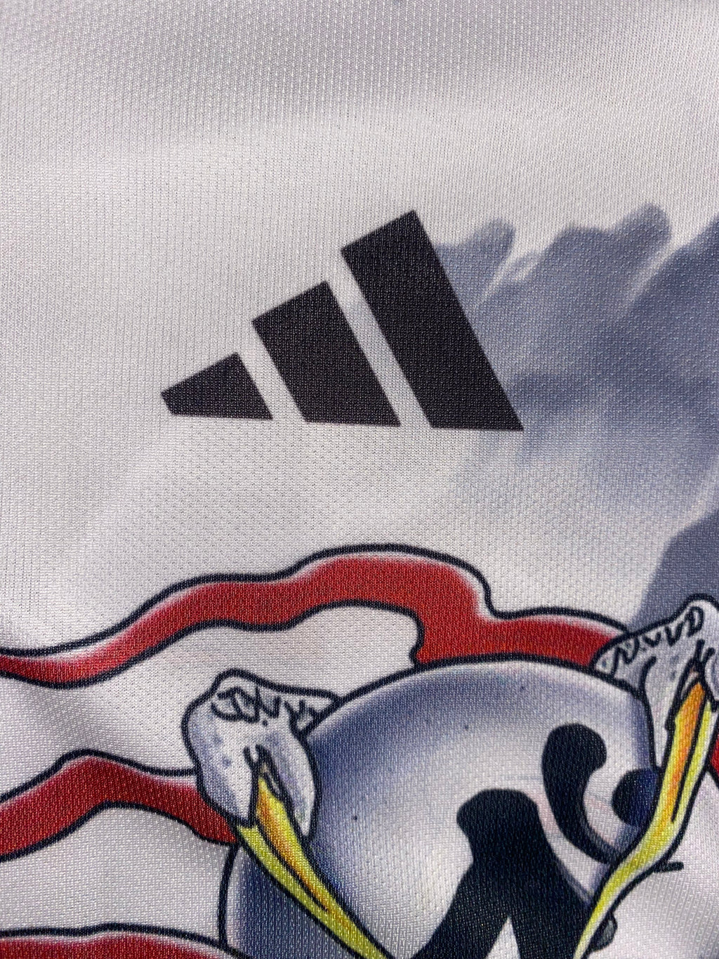 Maillot Japon Concept Edition Floral Dragon