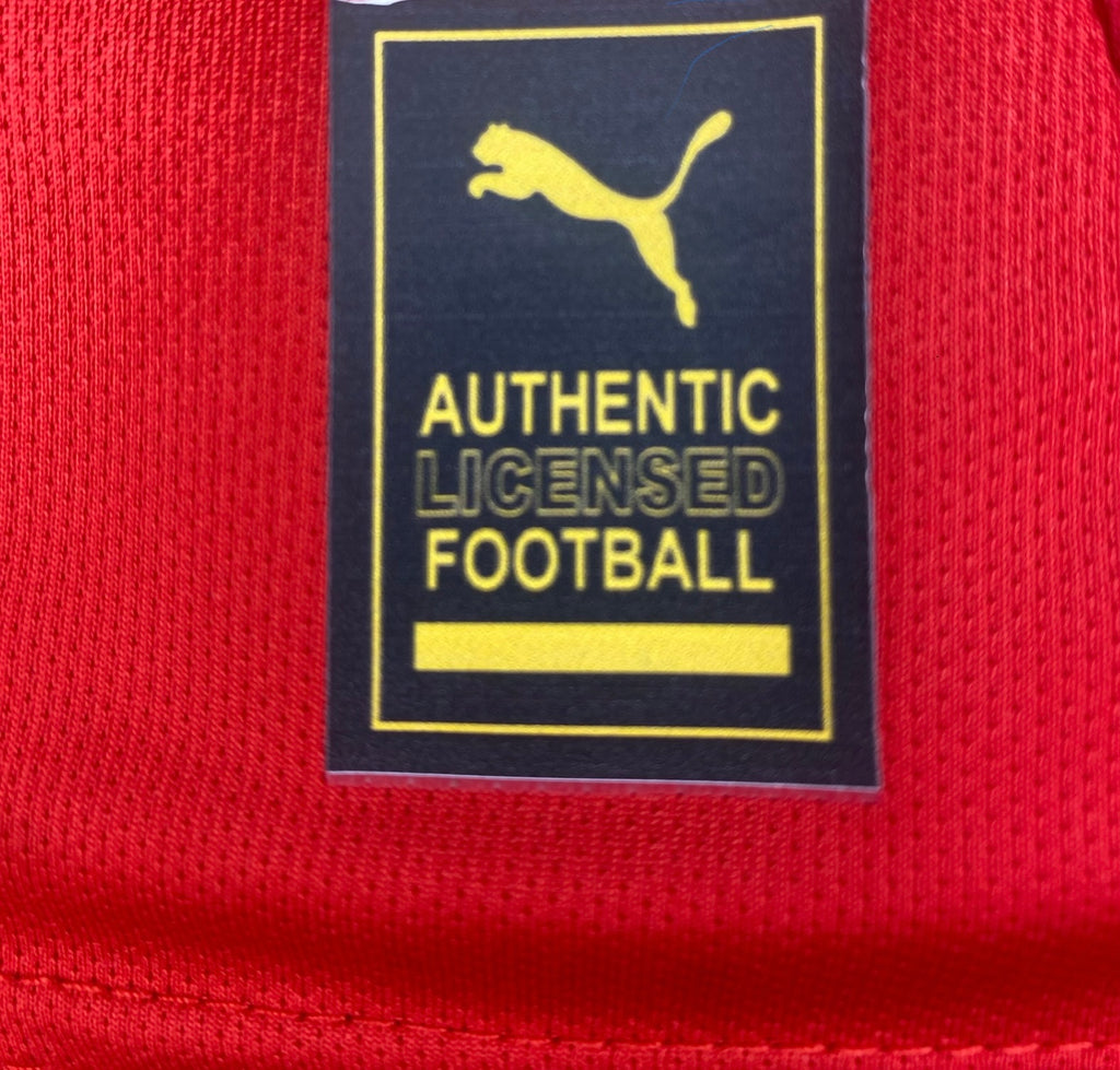 Maillot Maroc Domicile